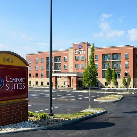 Comfort Suites Florence - Cincinnati South מראה חיצוני תמונה